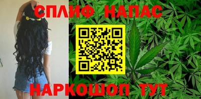 СК Лесосибирск