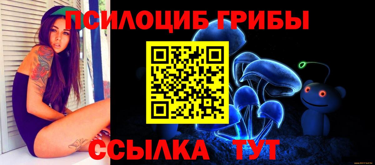 Владивосток  Псилоцибиновые грибы мицелий  Вход с VPN 